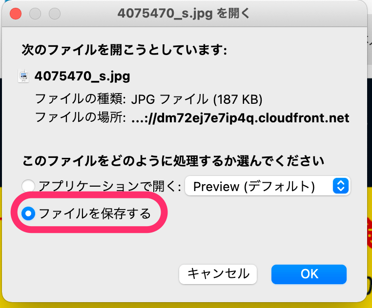 「ファイルを保存する」を選択し、「OK」